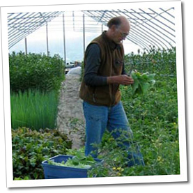 Farmer Ted